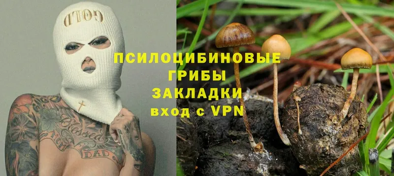 Псилоцибиновые грибы Psilocybe  цены наркотик  Бирюч 